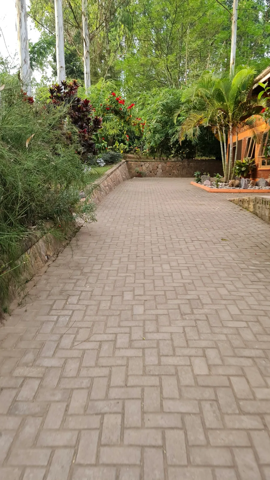 A brick walkway winding between planted beds and mature trees